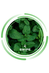 Безтютюнова суміш Swipe (Свайп) М`ята (Mint) 100 г  